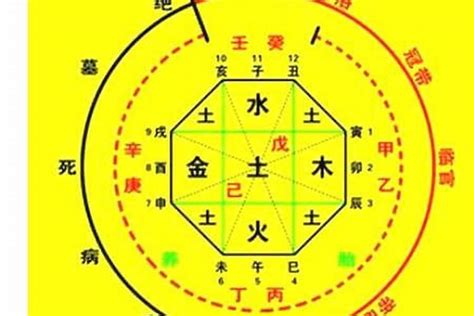 龍德星八字|八字中的龙德 (八字里龙德是什么意思)